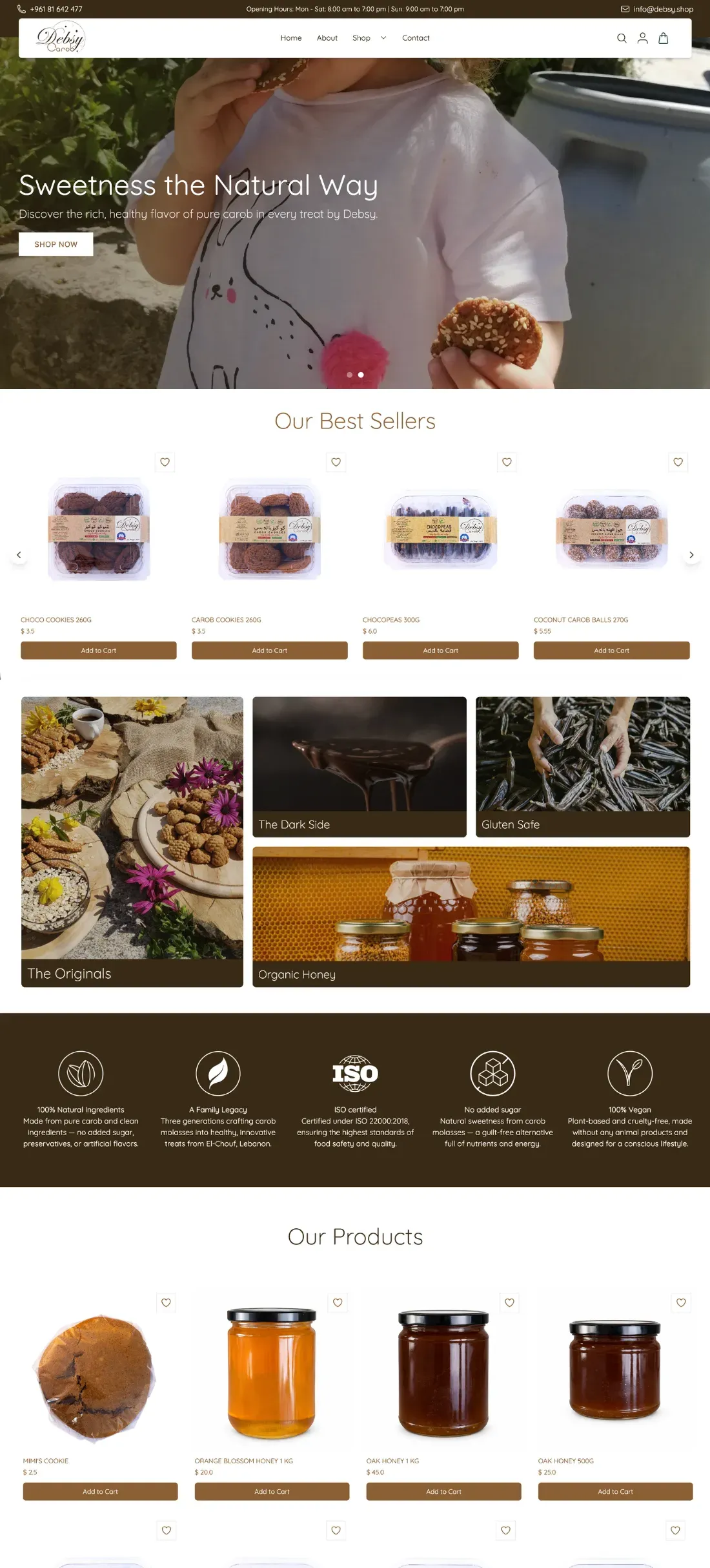 Debsy template powered by Osimart